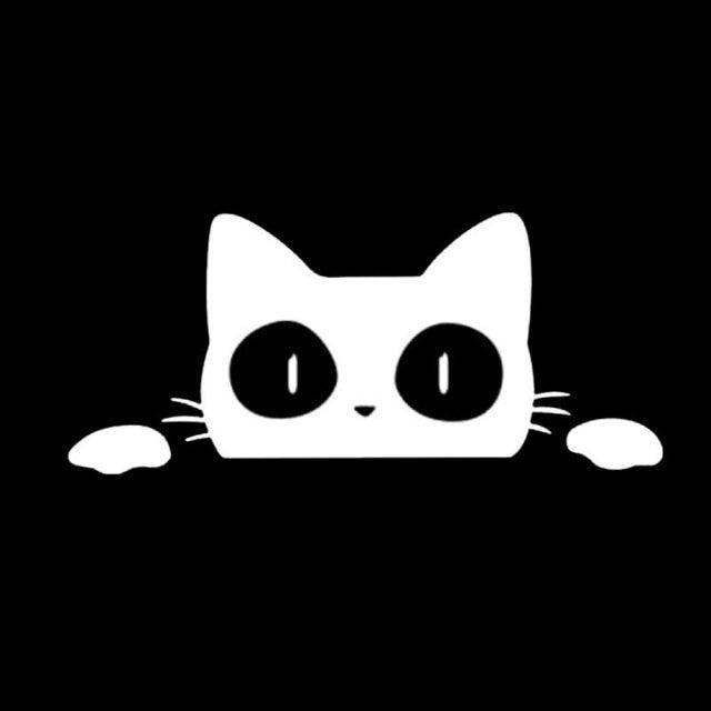 Reflective Peeking Cat Sticker